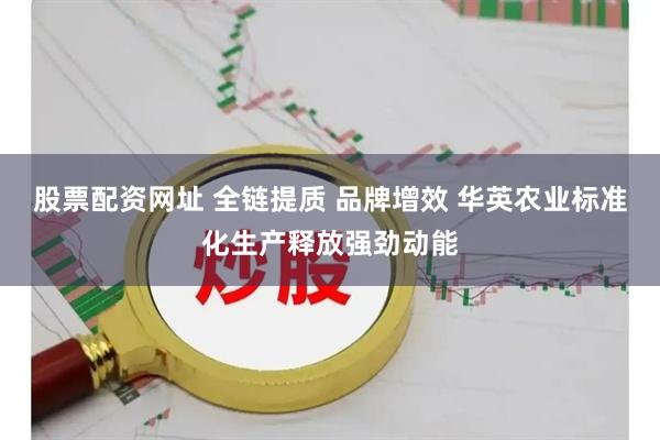 股票配资网址 全链提质 品牌增效 华英农业标准化生产释放强劲动能